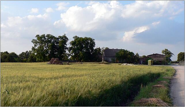 Krzyzownica, droga, Krzyżownica, Krzyżownica 88-342 - Zdjęcia