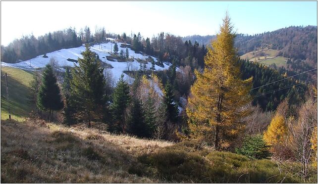 Kuba (Pasmo Radziejowej) BS8, Zarębek k/Obidza, Zarębek k/Obidza 33-390 - Zdjęcia