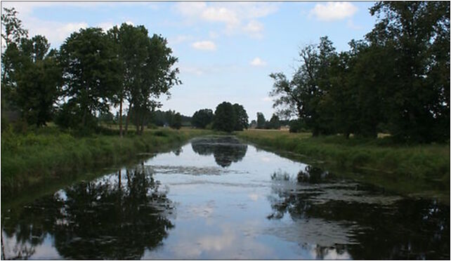 Lady - Łoknica River 02, Lady, Lady 17-207 - Zdjęcia