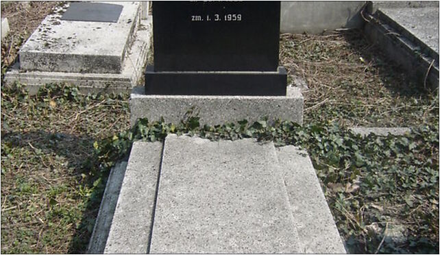 Leon Kulka grave, Damrota Konstantego 7b, Bielsko-Biała 43-300 - Zdjęcia