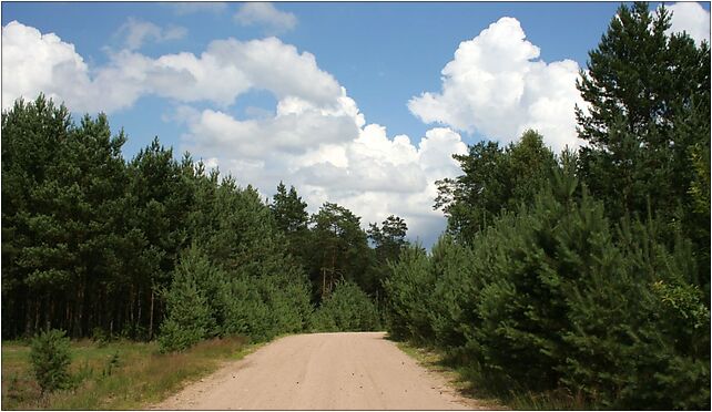 Lewosze - Road 01, Lewosze, Lewosze 17-332 - Zdjęcia