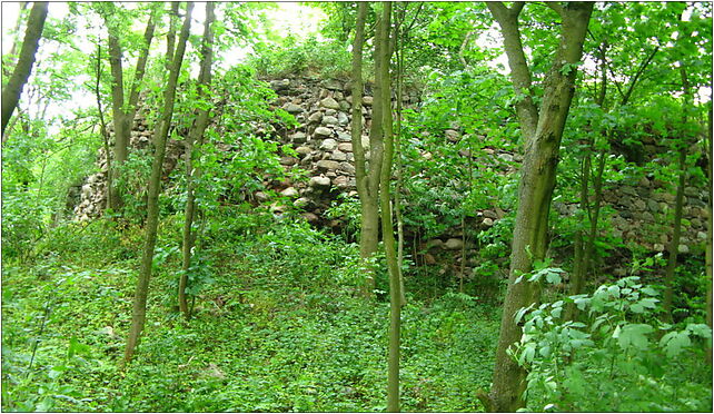 Lipienek Castle ruin, Lipienek - Zdjęcia