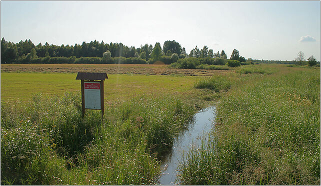 Lipsk - Biebrza, Zamiejska, Kolonie Lipsk 16-315 - Zdjęcia