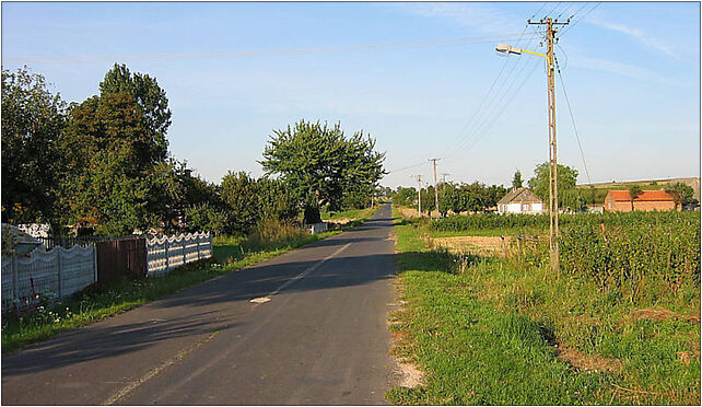 Lisnik-duzy-kolonia, Liśnik Duży-Kolonia, Liśnik Duży-Kolonia 23-275 - Zdjęcia