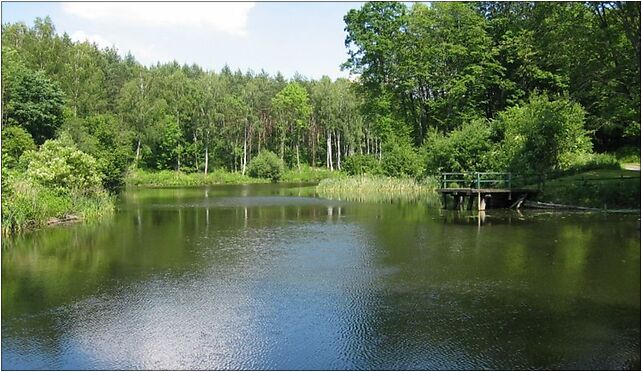 Liwa w Starym Mlynie, Biała Góra, Biała Góra 82-400 - Zdjęcia