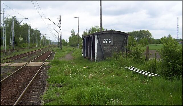 Lodz Janow 4, Kosodrzewiny, Łódź 92-411 - Zdjęcia