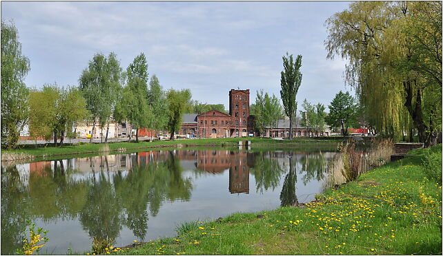 Lodz LSSE pond 2010-05, Tymienieckiego Wincentego, ks., bp., Łódź od 90-323 do 90-324 - Zdjęcia