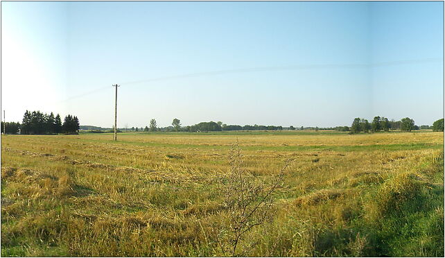 Lomazy battle field, Brzeska, Bielany 21-532 - Zdjęcia