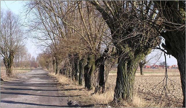 Lomianki koscielnadroga, Brzegowa, Kępa Kiełpińska 05-092 - Zdjęcia