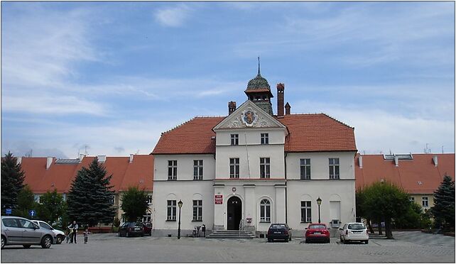 Lowin Brzeski Löwen rathaus, Kościuszki 34a, Lewin Brzeski 49-340 - Zdjęcia