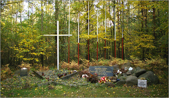 Lucmierz-Las, grave 01, Osiedlowa, Lućmierz-Ośrodek 95-100 - Zdjęcia