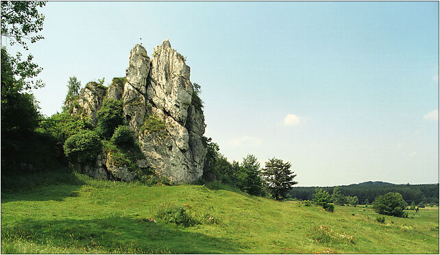 Lutowiec2(js), Łutowiec, Łutowiec 42-320 - Zdjęcia