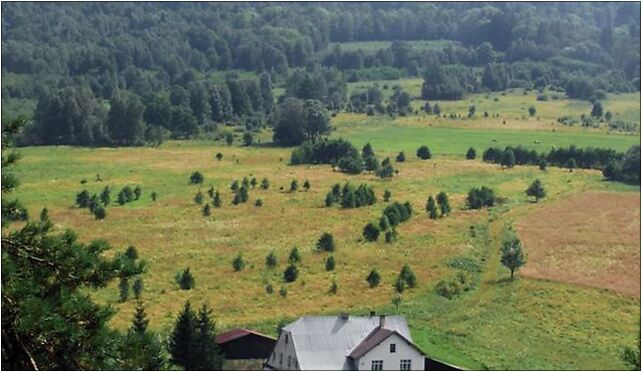 Lysiec - Gory Bialskie PL, Młynowiec, Młynowiec 57-550 - Zdjęcia