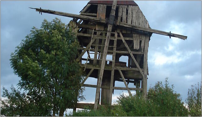 Młodziejewice-wiatrak kozlak, Młodziejewice, Młodziejewice 62-420 - Zdjęcia