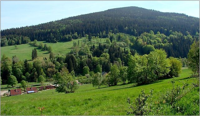 Młyńsko i dolina Kleśnicy, Kletno, Kletno 57-550 - Zdjęcia