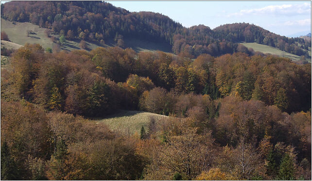 Małe Pieniny a14, Biała Woda, Jaworki 34-460 - Zdjęcia