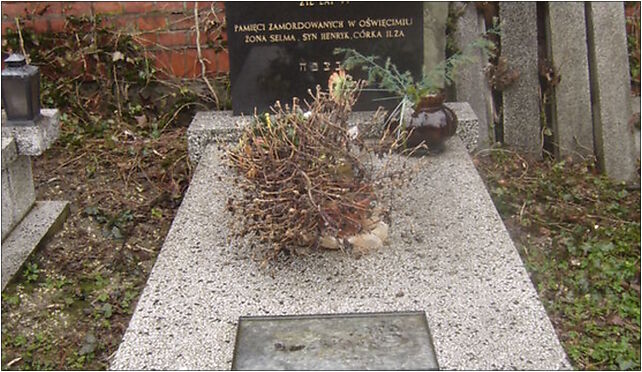 Maksymilian Metzendorf grave, Damrota Konstantego 7c, Bielsko-Biała 43-300 - Zdjęcia