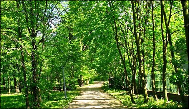 Marki Park, Okólna, Marki 05-270 - Zdjęcia