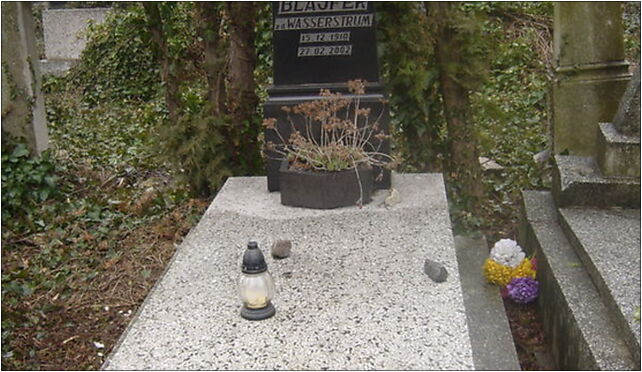 Markus and Tyla Bleifer grave, Damrota Konstantego 7b 43-300 - Zdjęcia