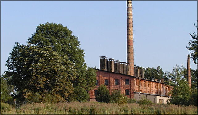 Miedary - cegielnia, Boczna 2, Miedary 42-676 - Zdjęcia