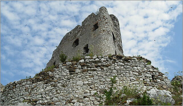 Mirów Castle - 15, Mirów, Mirów 42-320 - Zdjęcia