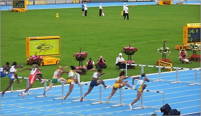 Mistrzostwa Świata Juniorów w lekkiej atletyce Bydgoszcz 2008 2 od 85-005 do 85-674 - Zdjęcia