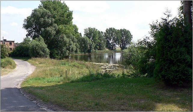 Mnichowo, staw, Mnichowo, Mnichowo 62-200 - Zdjęcia