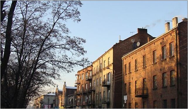 Modrzejów Orląt Lwowskich, Orląt Lwowskich79 5, Sosnowiec 41-208 - Zdjęcia