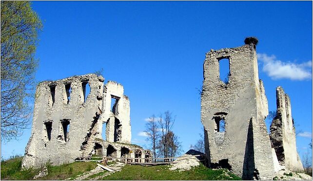 MokrskoG castle 20070421 1152, Mokrsko Górne, Mokrsko Górne 28-305 - Zdjęcia