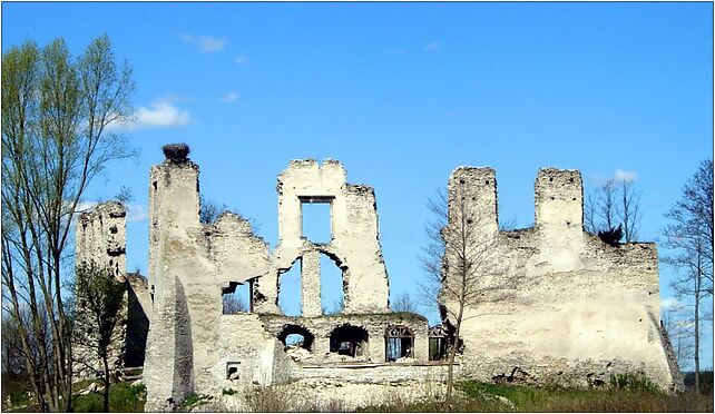 MokrskoG castle 20070421 1154, Mokrsko Górne, Mokrsko Górne 28-305 - Zdjęcia