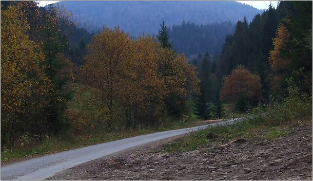 Mostownica a3, Turbacz - Zdjęcia