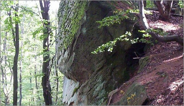 Mountain Kamien in Beskid Niski01, Przybyszów, Przybyszów 38-505 - Zdjęcia