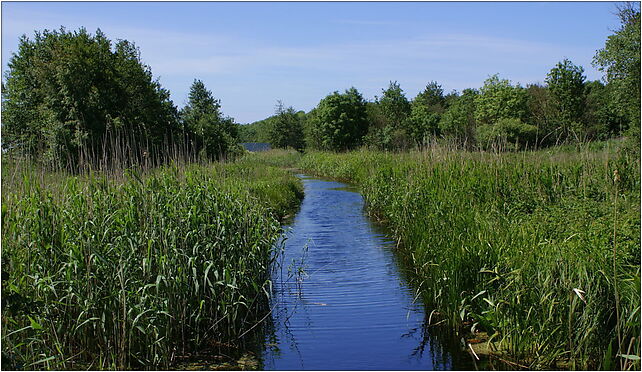 Mrzeżyno III Canal 2009-06, Kasztanowa, Mrzeżyno 72-330 - Zdjęcia