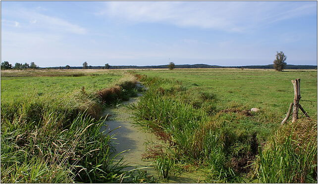 Mrzezyno II Canal near Wlodarka 2009-09, Włodarka, Włodarka 72-320 - Zdjęcia