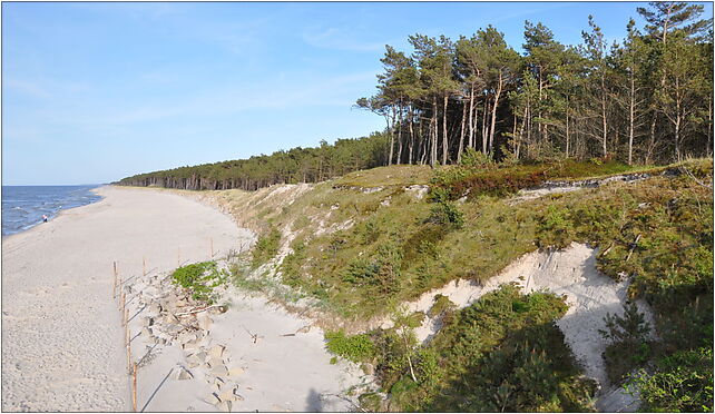 Mrzezyno coastal dune east beach 2010-05, Aleja Brwinowska 72-330 - Zdjęcia