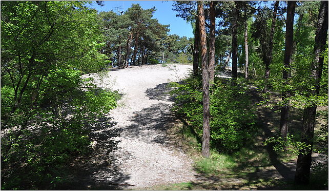 Mrzezyno east dune 2010-05, Nadmorska, Mrzeżyno 72-330 - Zdjęcia