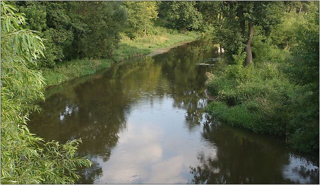 Mstów Warta2 01.08.09 p, 16 Stycznia, Mstów 42-244 - Zdjęcia