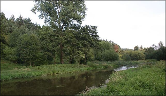 Mstów Warta 01.08.09 p, 16 Stycznia, Mstów 42-244 - Zdjęcia