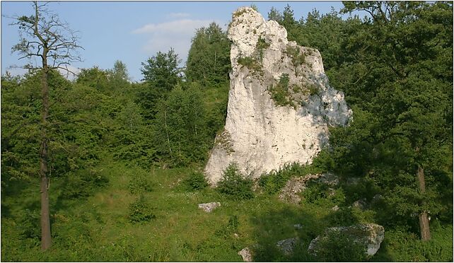 Mstów skałka nad Wartą 01.08.09 p, Ogrodowa, Mstów 42-244 - Zdjęcia
