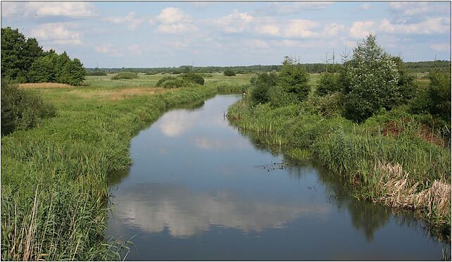 Narew Suszcza 13.07.2009 p, Obwodowa, Nowy Dwór Mazowiecki 05-160 - Zdjęcia