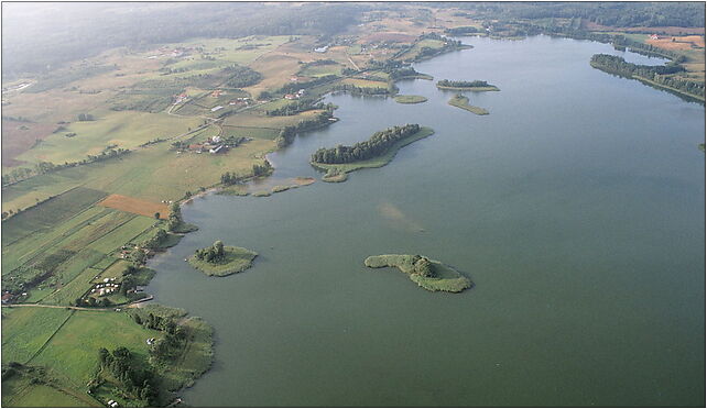 Narie zlotuptaka, Kretowiny, Kretowiny 14-300 - Zdjęcia