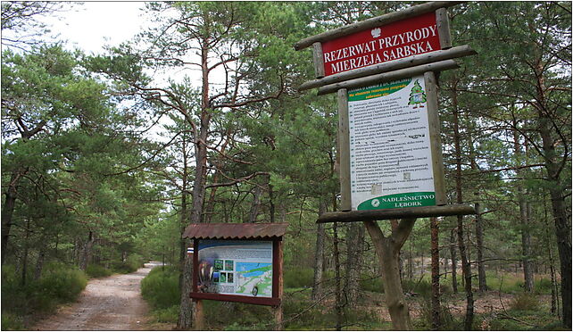 Nature reserve Mierzeja Sarbska - Road 02, Nadmorska, Łeba 84-360 - Zdjęcia