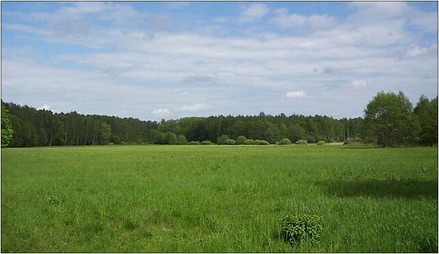 Nature reserve Polana Siwica01, Siwica - Zdjęcia