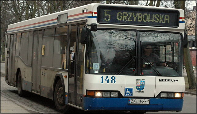 Neoplan N4016 - KM Kołobrzeg, Walki Młodych 26, Kołobrzeg 78-100 - Zdjęcia