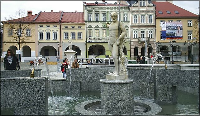 Neptunikczek, Rynek 20, Bielsko-Biała 43-300 - Zdjęcia