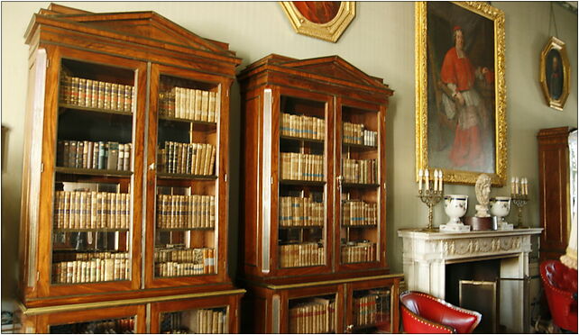 Nieborów Palace - Library, Nieborów, Brzóstowa 99-416 - Zdjęcia