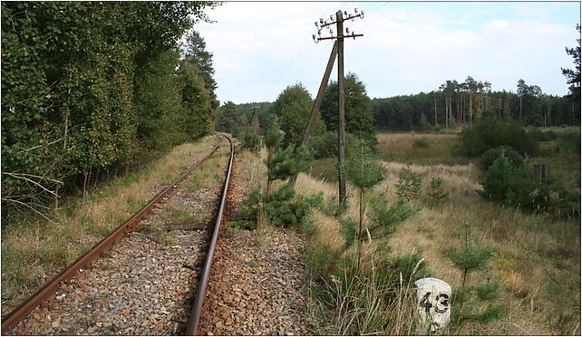 Niedaleko Kłosowic - IMG 0985, Okręg Międzychodzki, Sieraków 64-410 - Zdjęcia