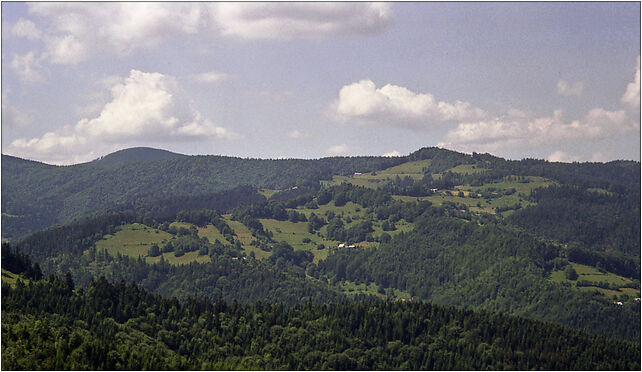 Niemcowa mountain, Trześniowy Groń, Piwniczna-Zdrój 33-350 - Zdjęcia