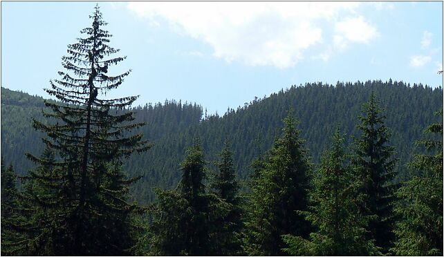 Nosalowa Przełęcz, Kuźnice, Zakopane 34-500 - Zdjęcia