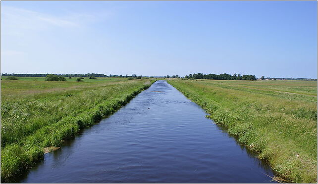 Nowa Blotnica from Glowaczewo bridge NW 2009-06, Głowaczewo 78-133 - Zdjęcia